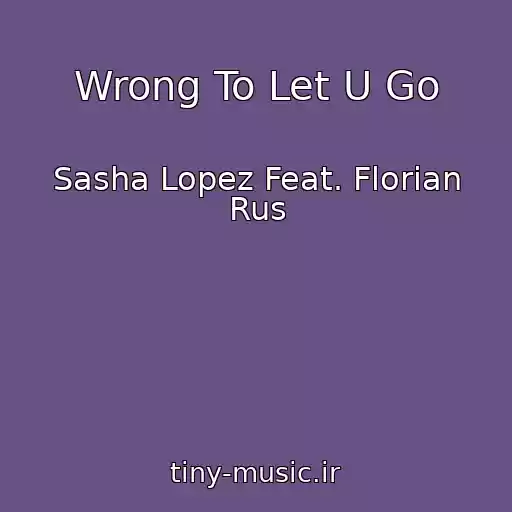 کاور آهنگ Wrong To Let U Go از Sasha Lopez Feat. Florian Rus