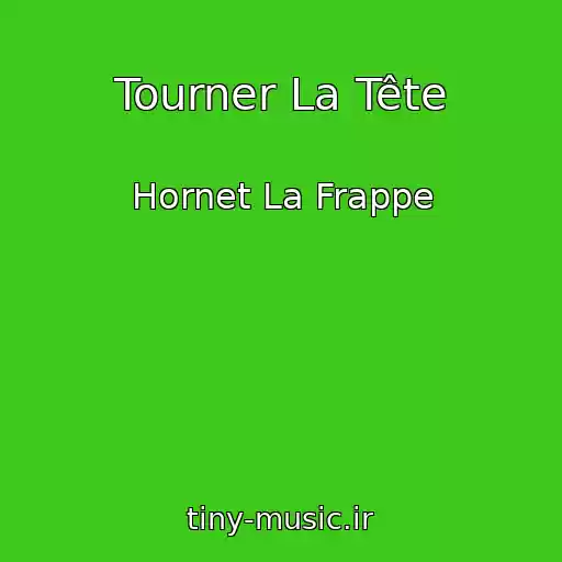 کاور آهنگ Tourner La Tête از Hornet La Frappe