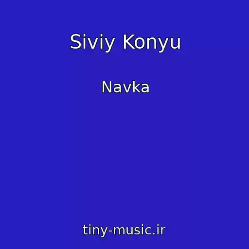 کاور آهنگ Siviy Konyu از Navka