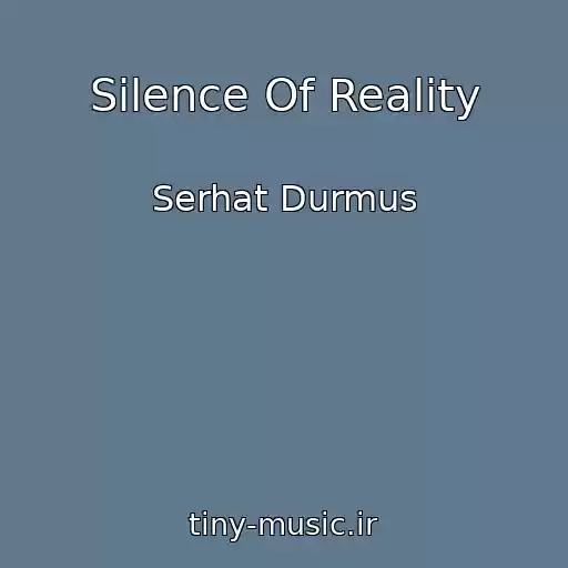 کاور آهنگ Silence Of Reality از Serhat Durmus