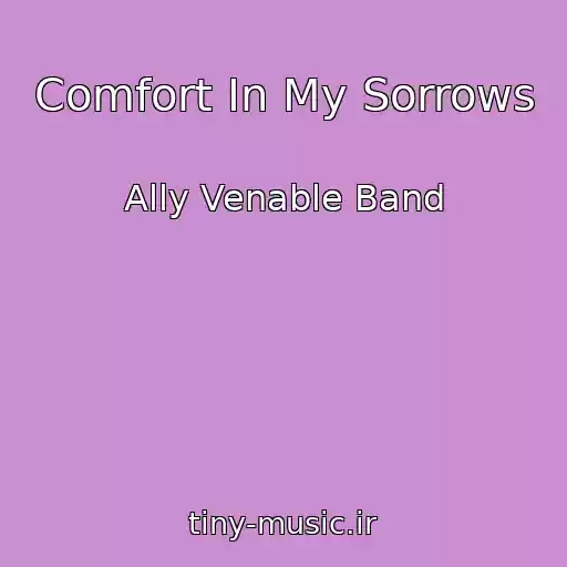 کاور آهنگ Comfort In My Sorrows از Ally Venable Band