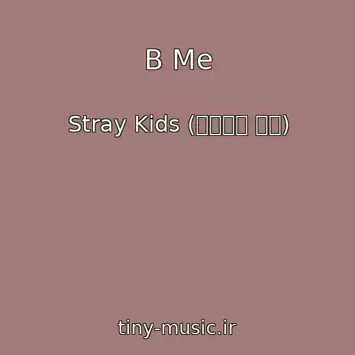 کاور آهنگ B Me از Stray Kids (스트레이 키즈)