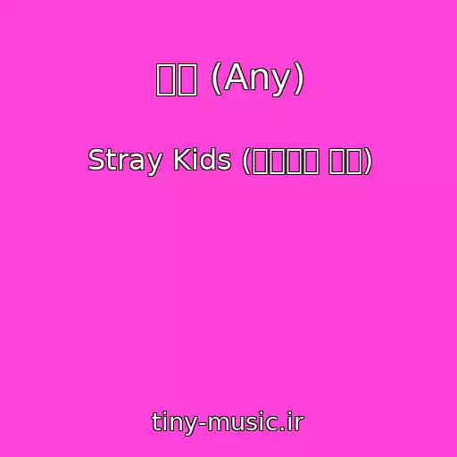 کاور آهنگ 아니 (Any) از Stray Kids (스트레이 키즈)