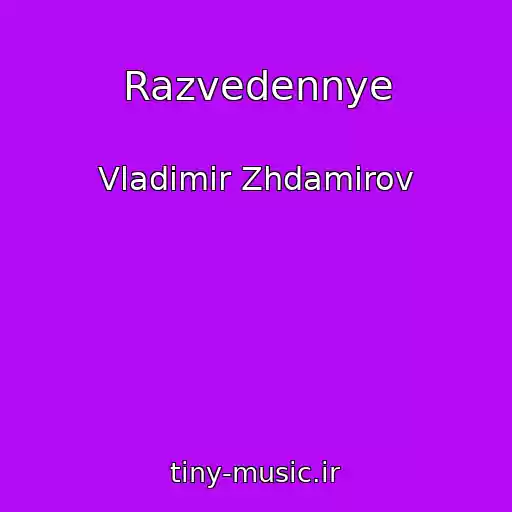 کاور آهنگ Razvedennye از Vladimir Zhdamirov