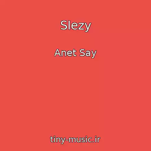کاور آهنگ Slezy از Anet Say