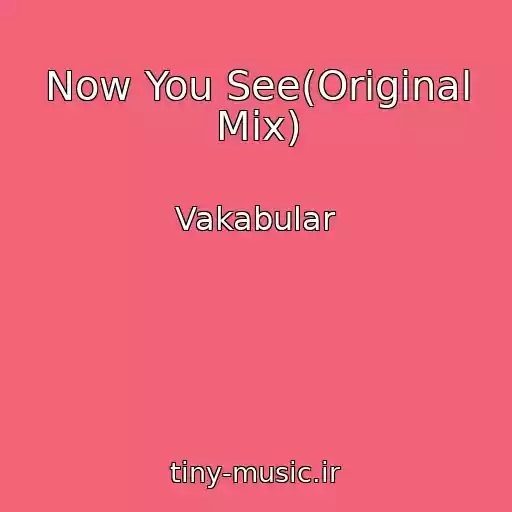 کاور آهنگ Now You See(Original Mix) از Vakabular