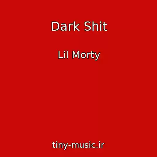 کاور آهنگ Dark Shit از Lil Morty