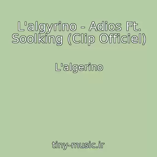 کاور آهنگ L'algyrino - Adios Ft. Soolking (Clip Officiel) از L'algerino