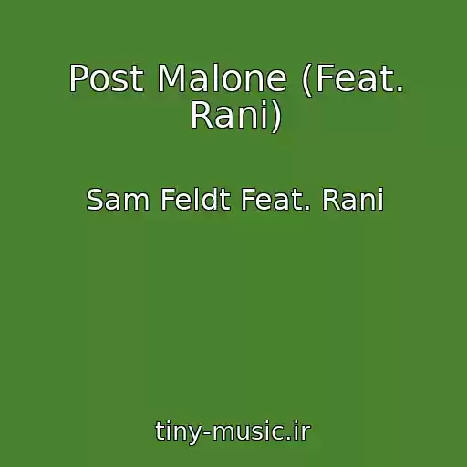 کاور آهنگ Post Malone (Feat. Rani) از Sam Feldt Feat. Rani