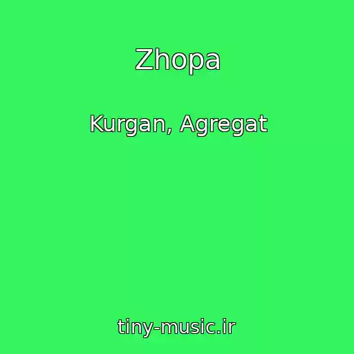 کاور آهنگ Zhopa از Kurgan, Agregat