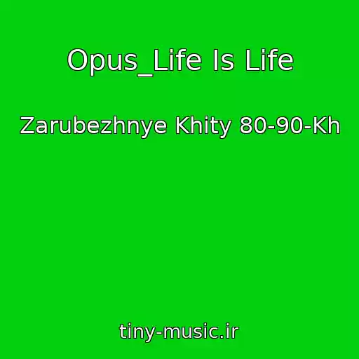 کاور آهنگ Opus_Life Is Life از Zarubezhnye Khity 80-90-Kh