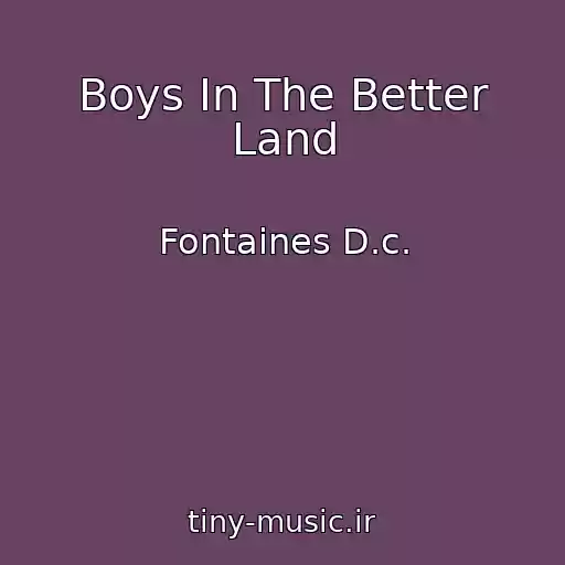 کاور آهنگ Boys In The Better Land از Fontaines D.c.