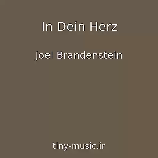 کاور آهنگ In Dein Herz از Joel Brandenstein
