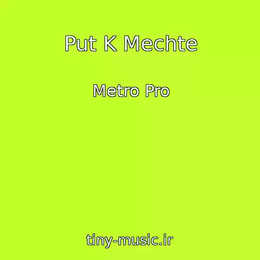 کاور آهنگ Put K Mechte از Metro Pro