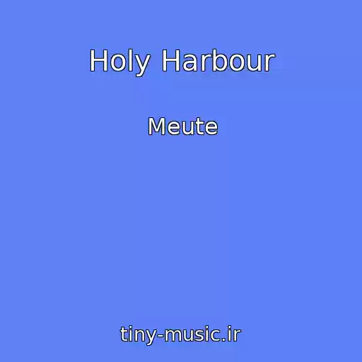 کاور آهنگ Holy Harbour از Meute