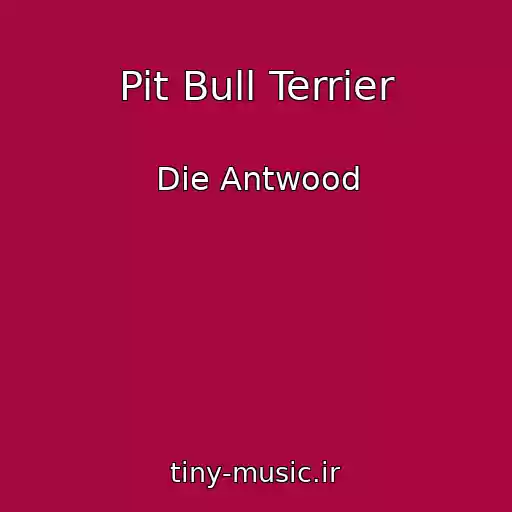کاور آهنگ Pit Bull Terrier از Die Antwood