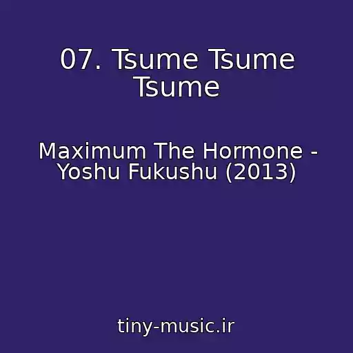 کاور آهنگ 07. Tsume Tsume Tsume از Maximum The Hormone - Yoshu Fukushu (2013)