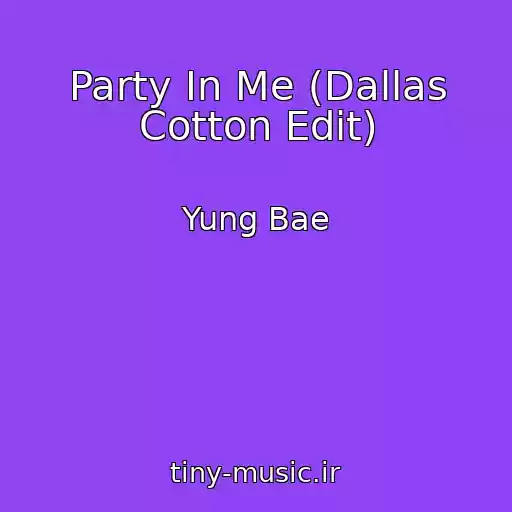 کاور آهنگ Party In Me (Dallas Cotton Edit) از Yung Bae