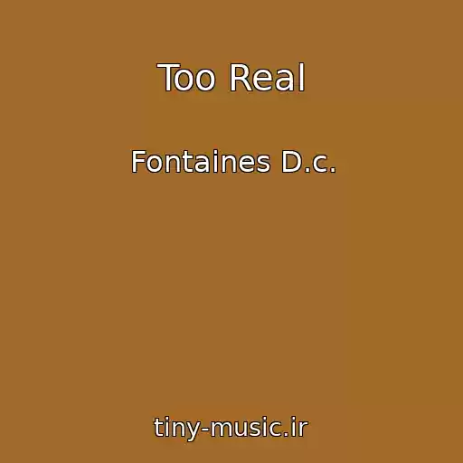 کاور آهنگ Too Real از Fontaines D.c.