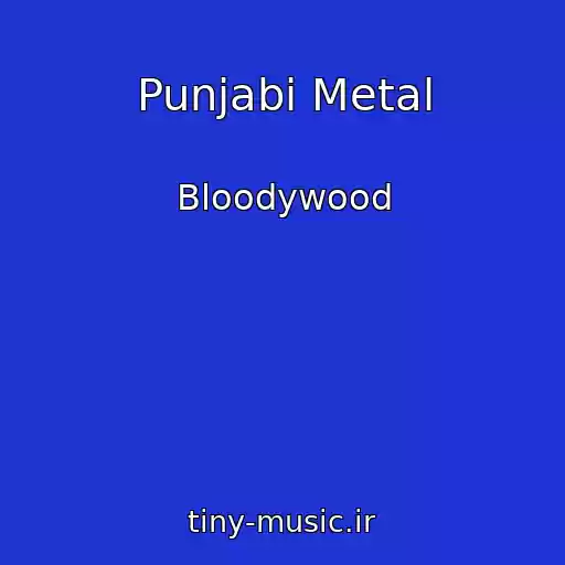 کاور آهنگ Punjabi Metal از Bloodywood