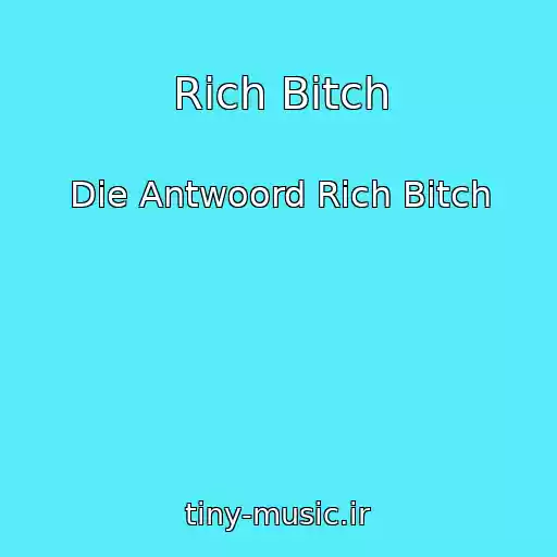 کاور آهنگ Rich Bitch از Die Antwoord Rich Bitch