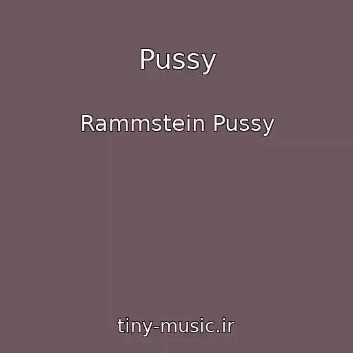 کاور آهنگ Pussy از Rammstein Pussy