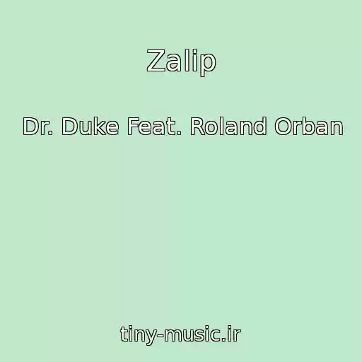 کاور آهنگ Zalip از Dr. Duke Feat. Roland Orban