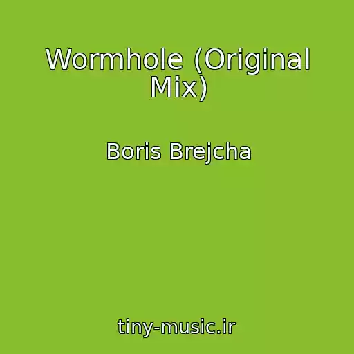 کاور آهنگ Wormhole (Original Mix) از Boris Brejcha