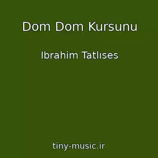 کاور آهنگ Dom Dom Kursunu از Ibrahim Tatlıses
