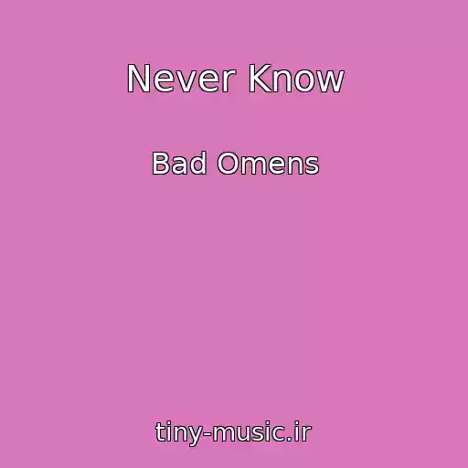 کاور آهنگ Never Know از Bad Omens