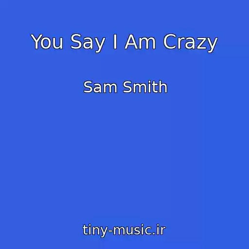 کاور آهنگ You Say I Am Crazy از Sam Smith
