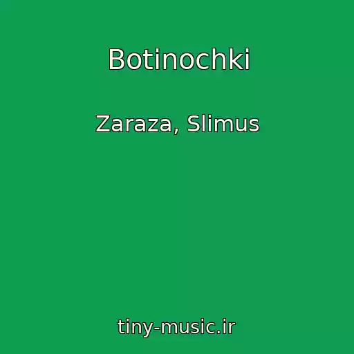 کاور آهنگ Botinochki از Zaraza, Slimus