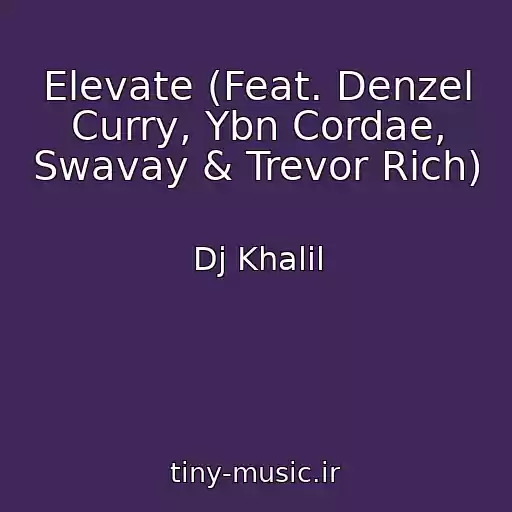 کاور آهنگ Elevate (Feat. Denzel Curry, Ybn Cordae, Swavay & Trevor Rich) از Dj Khalil