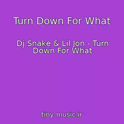 کاور آهنگ Turn Down For What از Dj Snake & Lil Jon - Turn Down For What