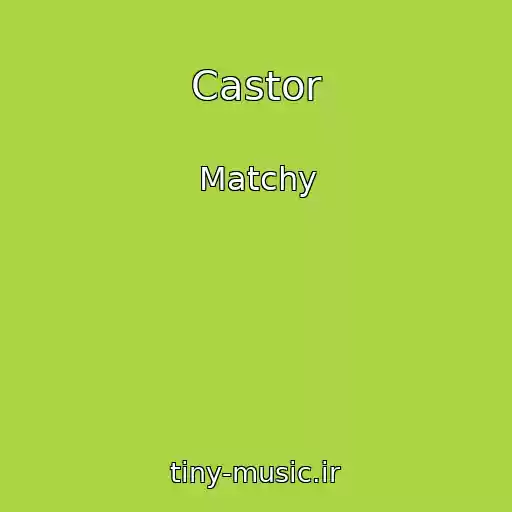 کاور آهنگ Castor از Matchy