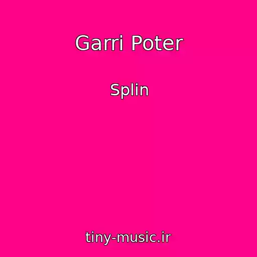 کاور آهنگ Garri Poter از Splin