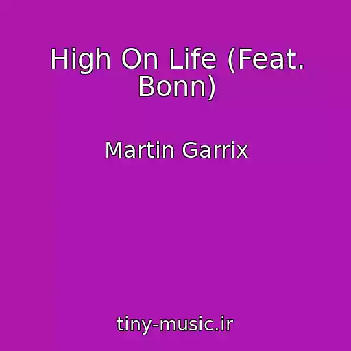 کاور آهنگ High On Life (Feat. Bonn) از Martin Garrix