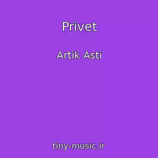 کاور آهنگ Privet از Artik Asti
