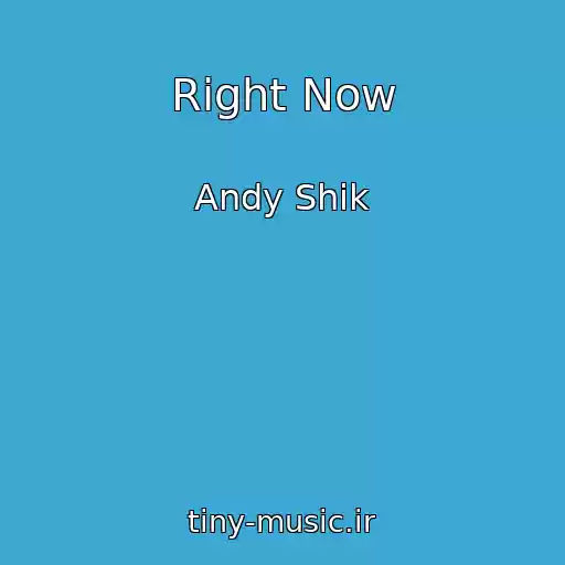 کاور آهنگ Right Now از Andy Shik