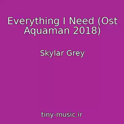 کاور آهنگ Everything I Need (Ost Aquaman 2018) از Skylar Grey