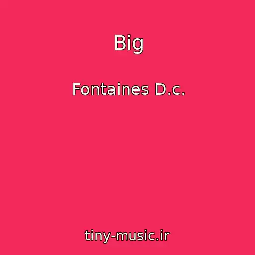 کاور آهنگ Big از Fontaines D.c.