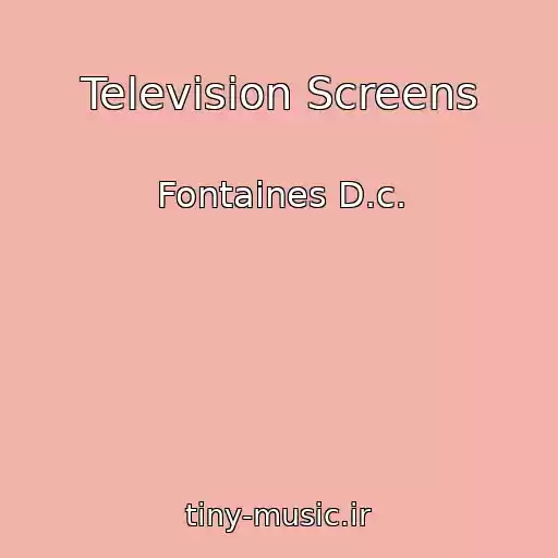 کاور آهنگ Television Screens از Fontaines D.c.