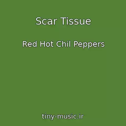 کاور آهنگ Scar Tissue از Red Hot Chil Peppers