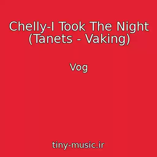 کاور آهنگ Chelly-I Took The Night (Tanets - Vaking) از Vog