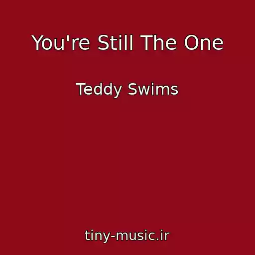 کاور آهنگ You're Still The One از Teddy Swims