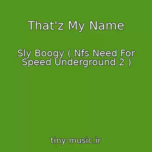کاور آهنگ That'z My Name از Sly Boogy ( Nfs Need For Speed Underground 2 )