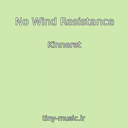 کاور آهنگ No Wind Resistance از Kinneret