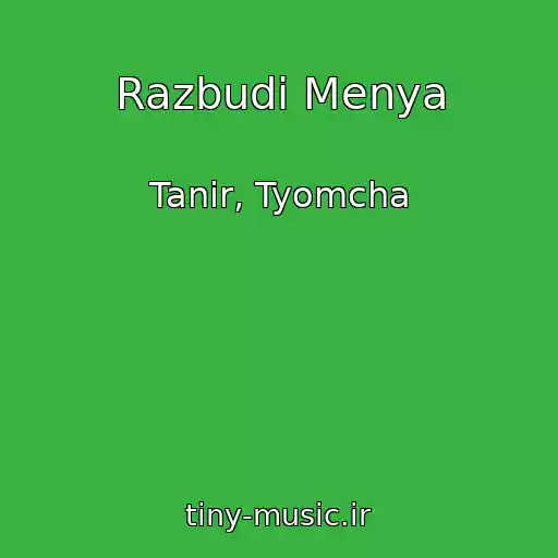 کاور آهنگ Razbudi Menya از Tanir, Tyomcha