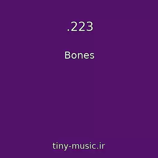 کاور آهنگ .223 از Bones