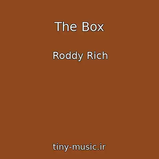 کاور آهنگ The Box از Roddy Rich
